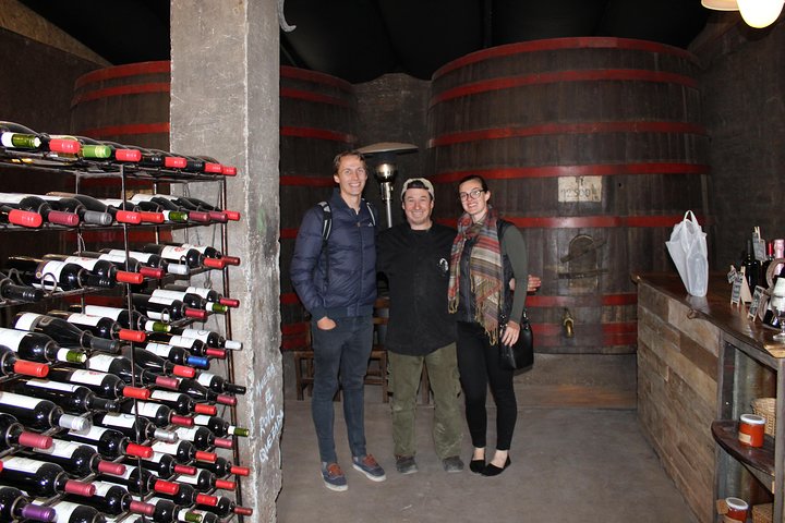 Maipo Valley Wine Tour with 4 vineyards from Santiago.