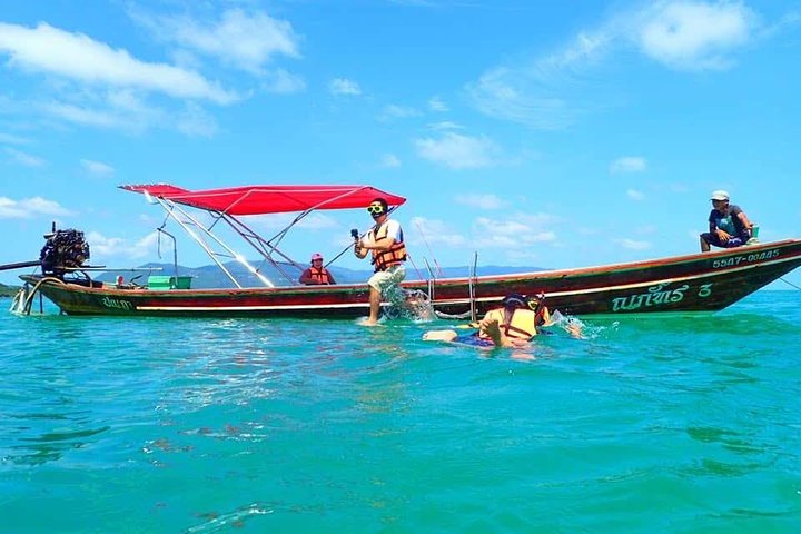 Half Day Pig Island and Snorkeling Experience