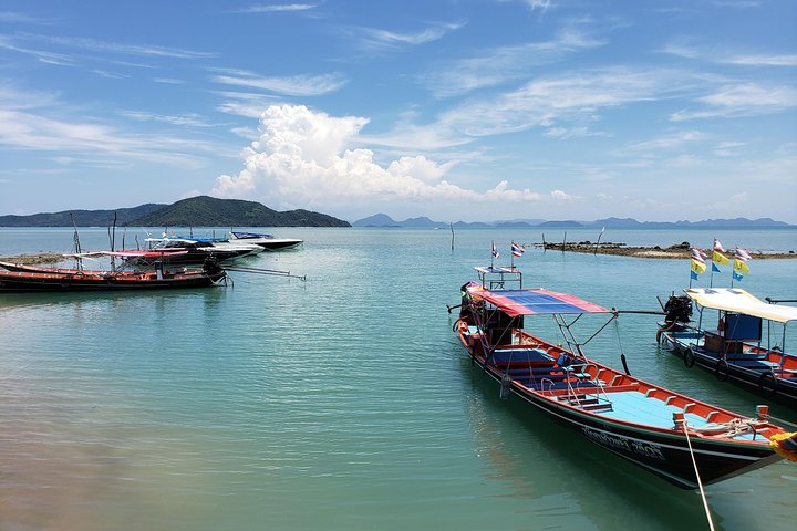 Half Day Pig Island and Snorkeling Experience