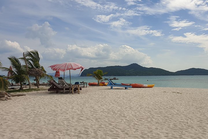 Half Day Pig Island and Snorkeling Experience