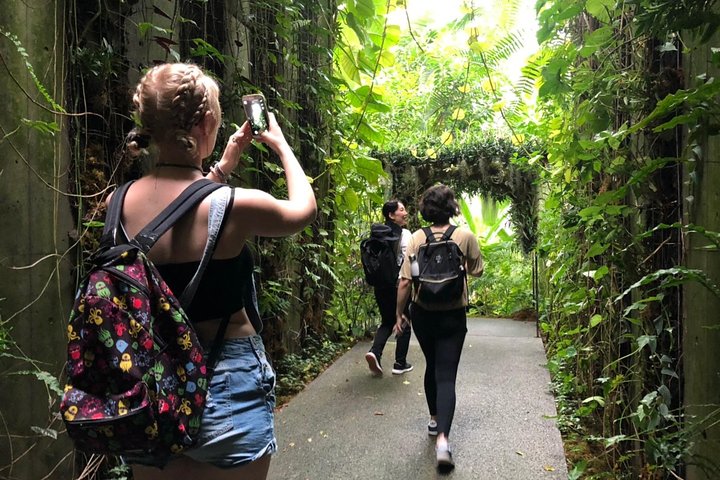 1-Day Kochi Highlights Tour with local guide
