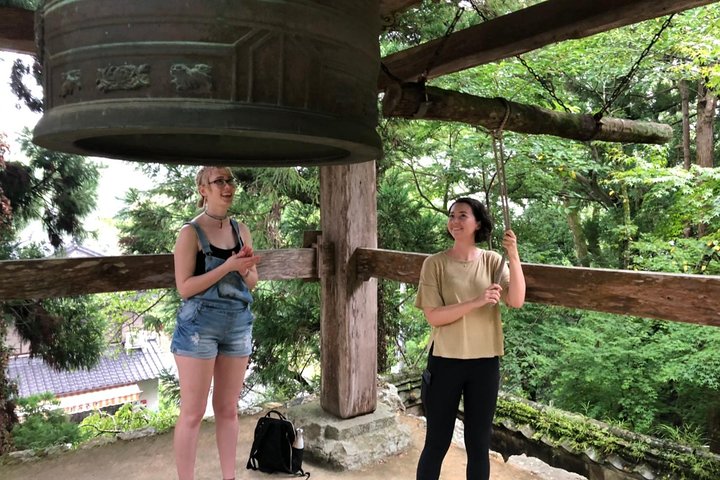 1-Day Kochi Highlights Tour with local guide