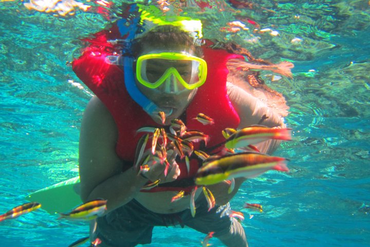 Premium Family Snorkeling Experience