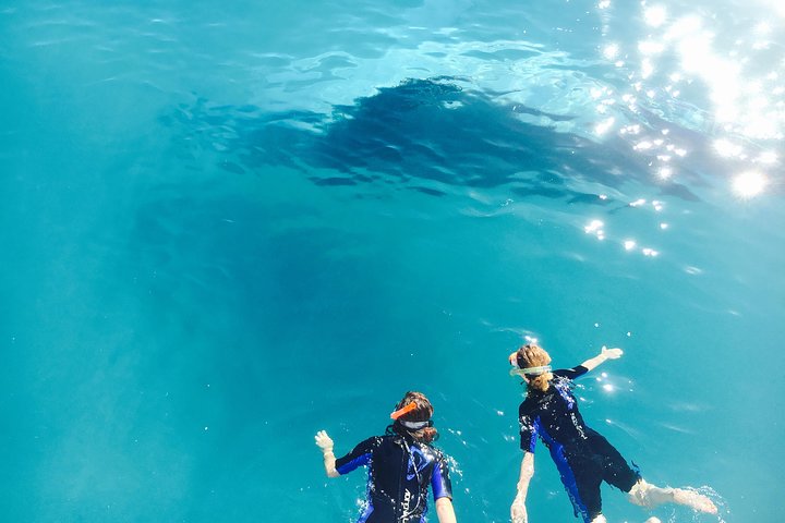 Remote K'gari (Fraser Island) Experience