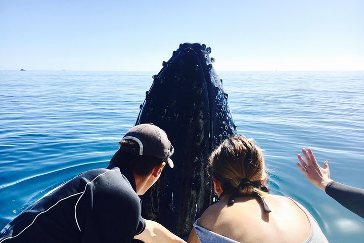 Remote K'gari (Fraser Island) Experience