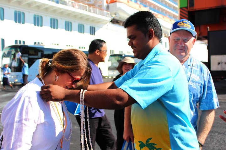 Private Transfer: Suva to Nadi Airport