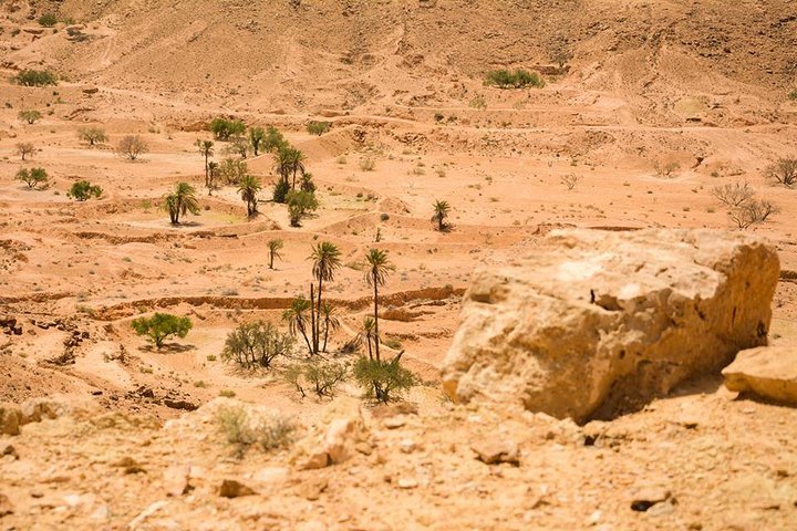 Tozeur and the mountain Oasis