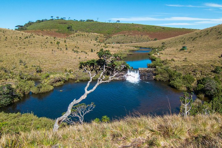 Horton Plains Park & Worlds End Guided Trekking From Nuwara Eliya