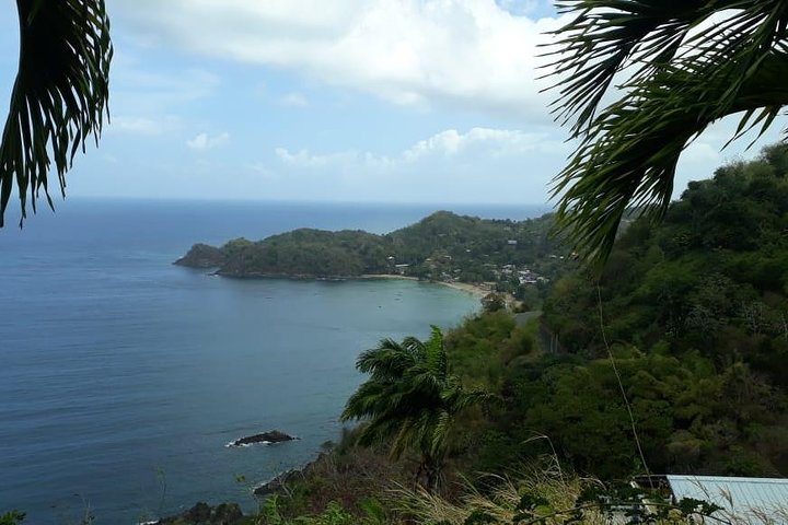Birdwatching, Waterfall, Rainforest and Island Nature Tours
