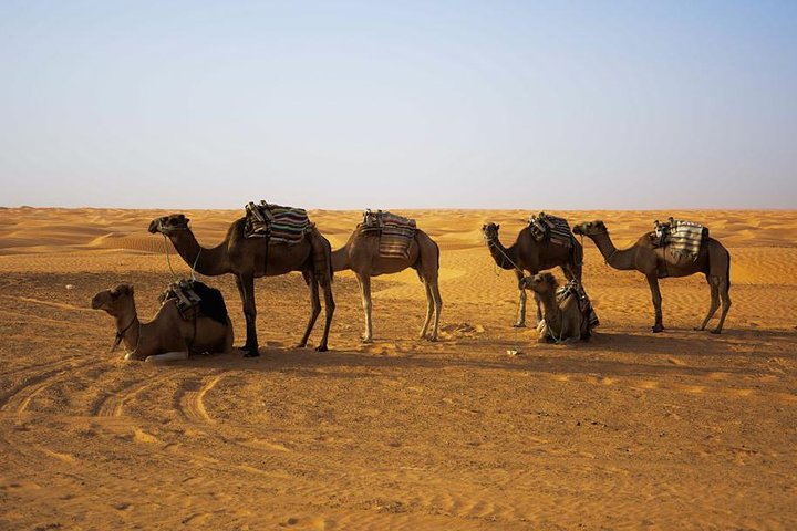 From Djerba: Ksar Ghilane & Matmata 4*4 guided tour with lunch