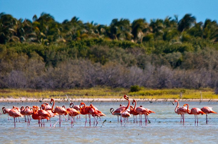 Nature Combo Oviedo Lagoon & Bahia de las Aguilas