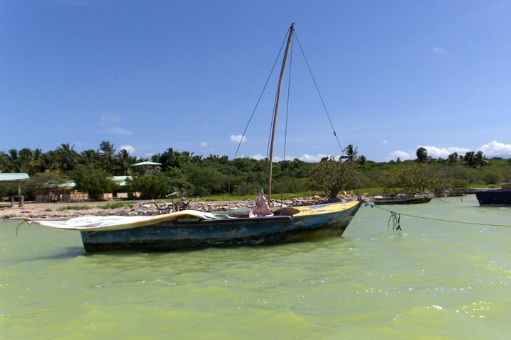 Flamingo Island - Laguna Oviedo