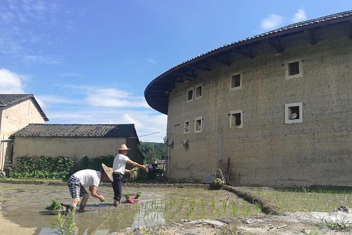 Fujian Tulou Private Day Tour to World Heritage Site Tianluokeng Tulou Cluster