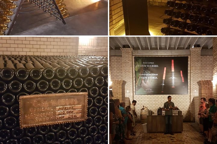 Vale dos Vinhedos: Private Group Tour from Porto Alegre