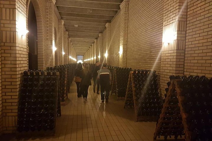 Vale dos Vinhedos: Private Group Tour from Porto Alegre