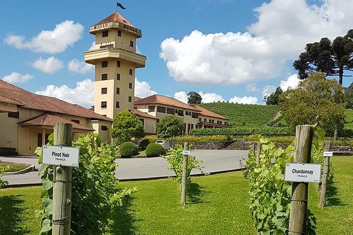 Vale dos Vinhedos: Private Group Tour from Porto Alegre