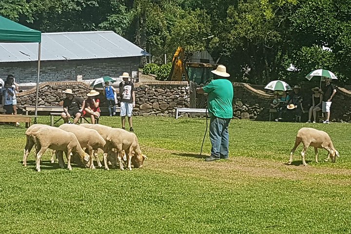 Vale dos Vinhedos: Private Group Tour from Porto Alegre