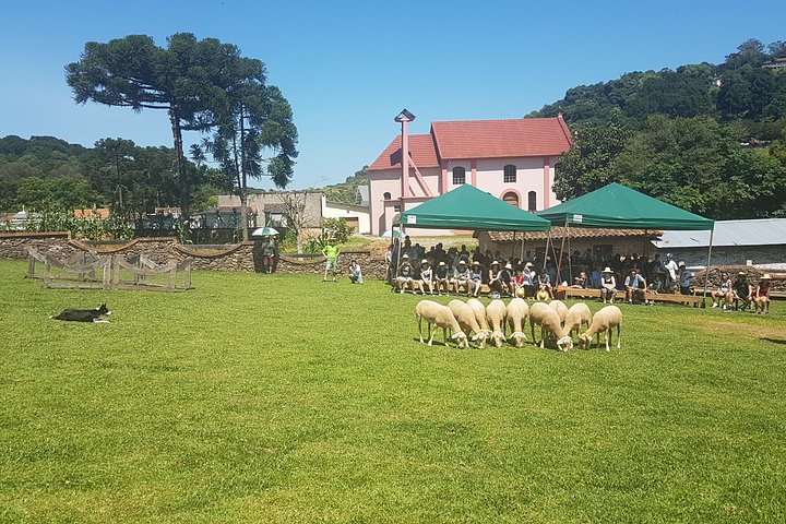 Vale dos Vinhedos: Private Group Tour from Porto Alegre