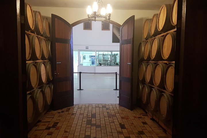 Vale dos Vinhedos: Private Group Tour from Porto Alegre