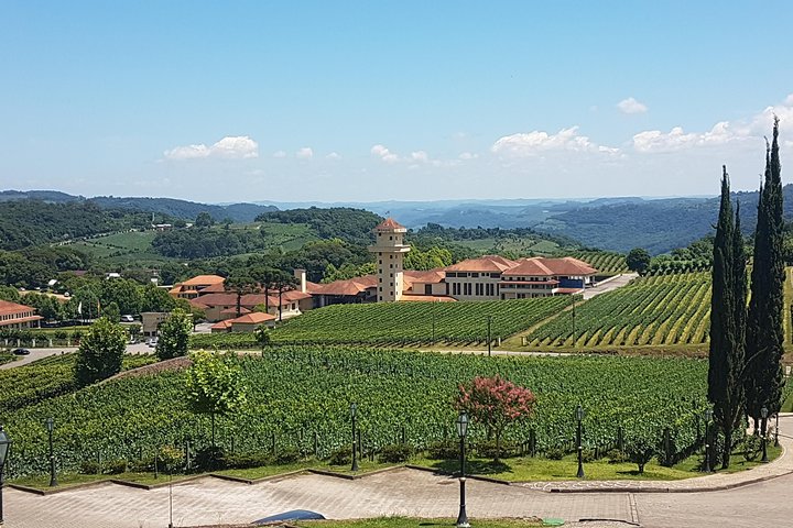 Vale dos Vinhedos: Private Group Tour from Porto Alegre