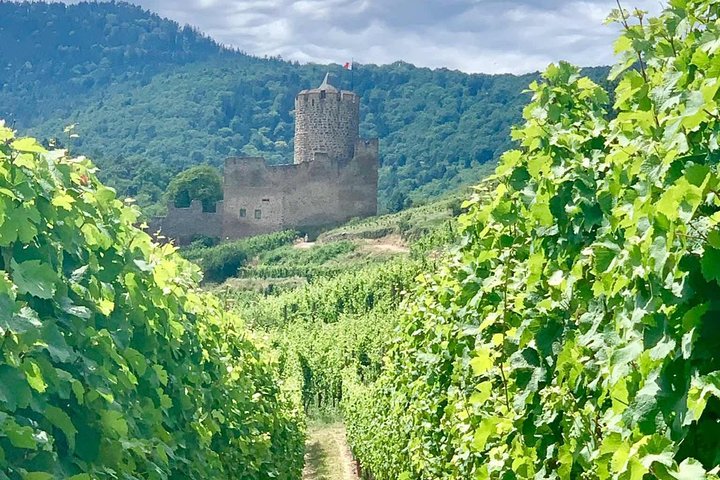 Private excursion: the best of Alsace in one day !