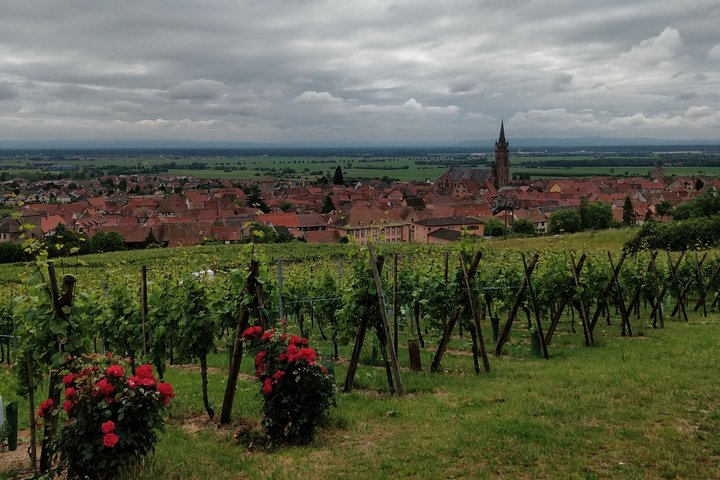 Private excursion: the best of Alsace in one day !