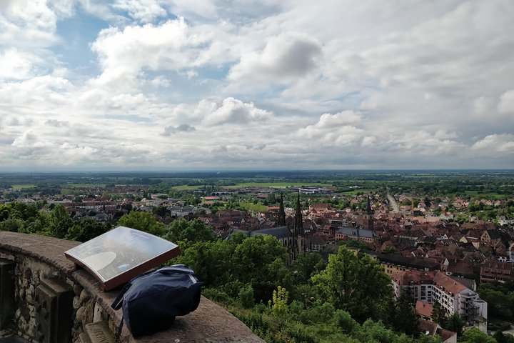 Private excursion: the best of Alsace in one day !