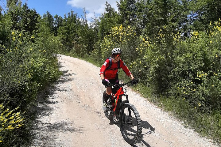 Tour in eBike Riserva Gola del Furlo and Tartufo
