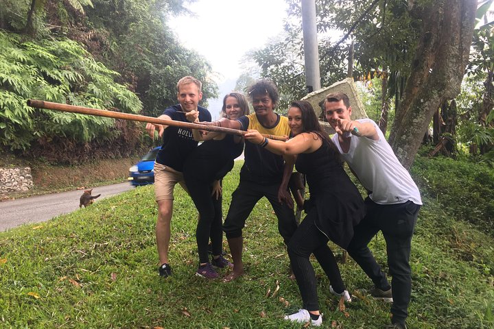 Cameron Highland Best Day Tour from Ipoh with Lunch ( Day Trip)