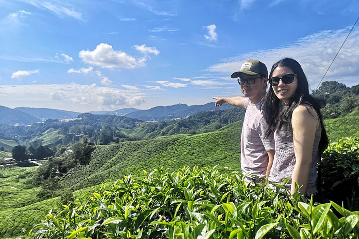 Cameron Highland Best Day Tour from Ipoh with Lunch ( Day Trip)