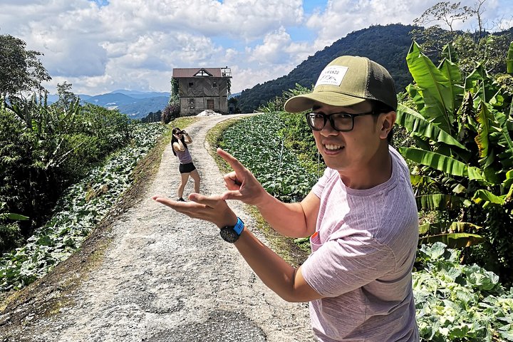 Cameron Highland Best Day Tour from Ipoh with Lunch ( Day Trip)