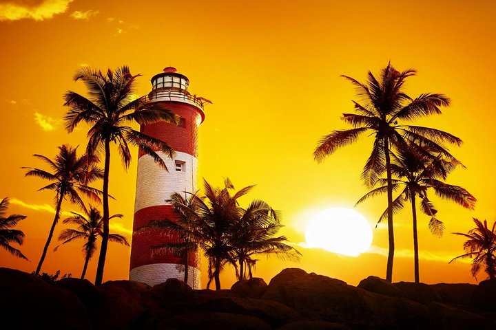8 Days Kerala Private Tour (3 Star) with Munnar, Houseboat & Cab- Iris Holidays