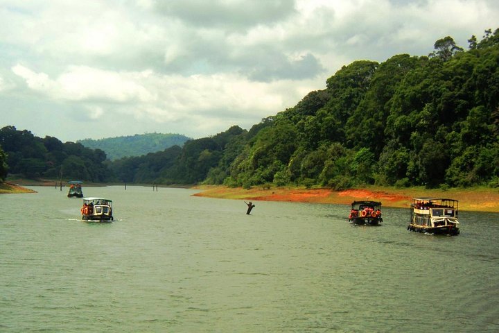 8 Days Kerala Private Tour (3 Star) with Munnar, Houseboat & Cab- Iris Holidays
