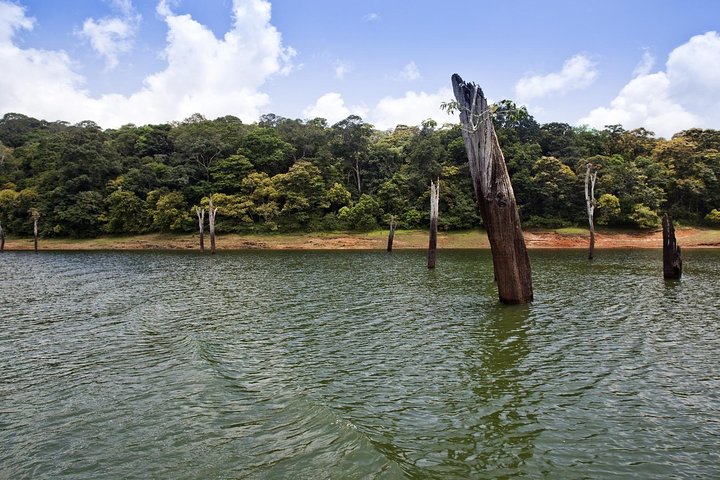8 Days Kerala Private Tour (3 Star) with Munnar, Houseboat & Cab- Iris Holidays
