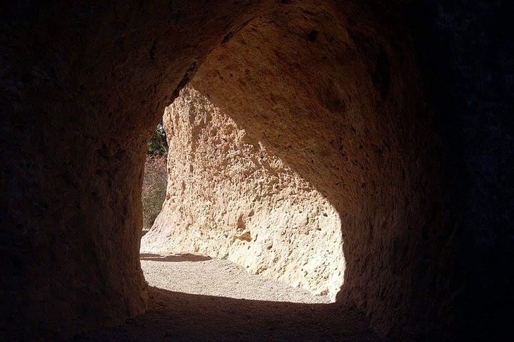 Guided Tour of the Enchanted City