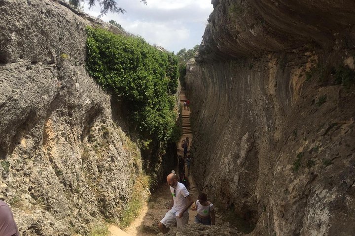 Guided Tour of the Enchanted City