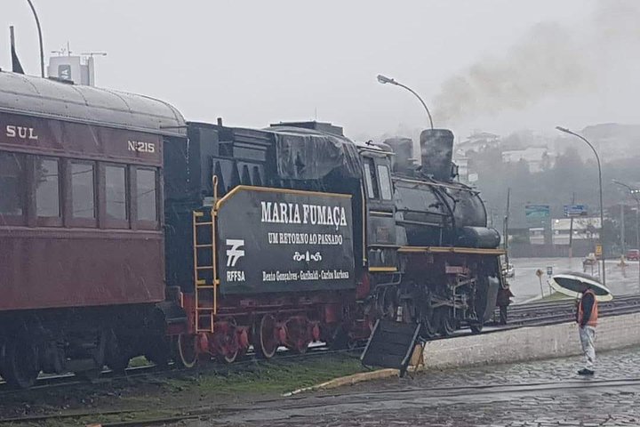 Vale dos Vinhedos: Private Group Tour from Porto Alegre
