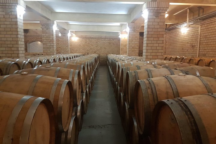 Vale dos Vinhedos: Private Group Tour from Porto Alegre