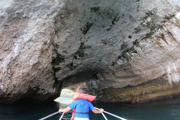 Full-Day Experience in Banderas Bay