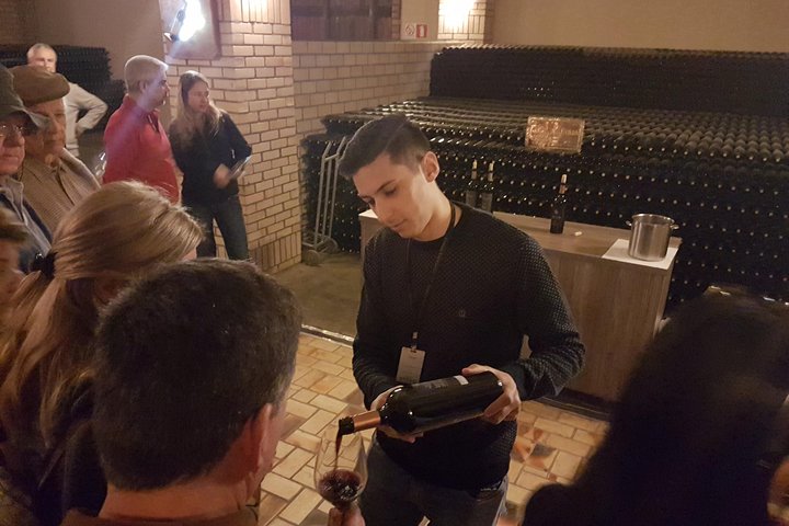 Vale dos Vinhedos: Private Group Tour from Porto Alegre