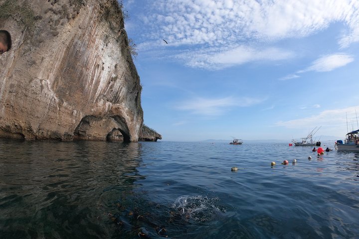 Full-Day Experience in Banderas Bay
