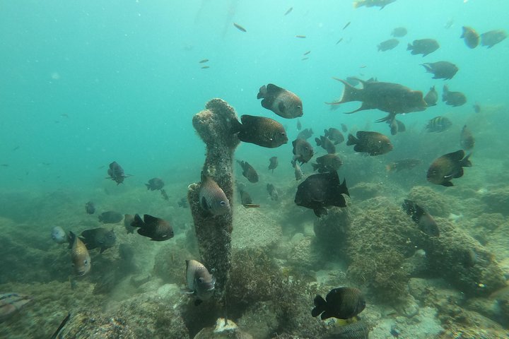 Full-Day Experience in Banderas Bay