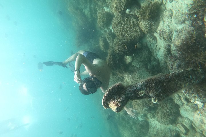 Full-Day Experience in Banderas Bay