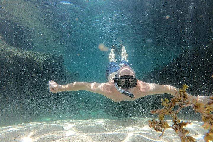 Full-Day Experience in Banderas Bay