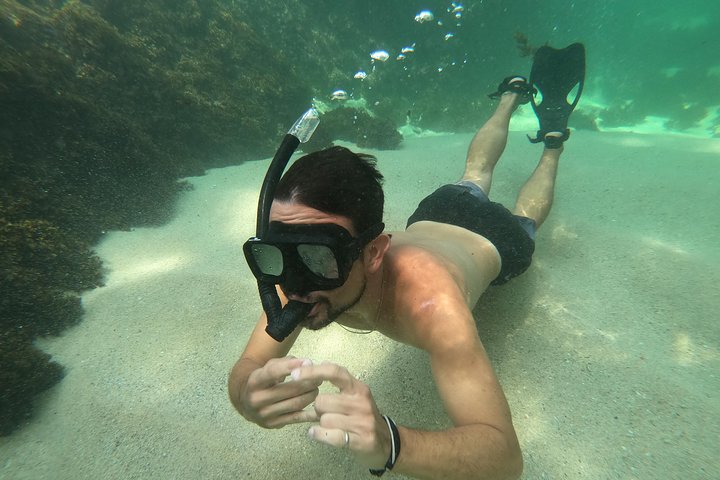 Full-Day Experience in Banderas Bay