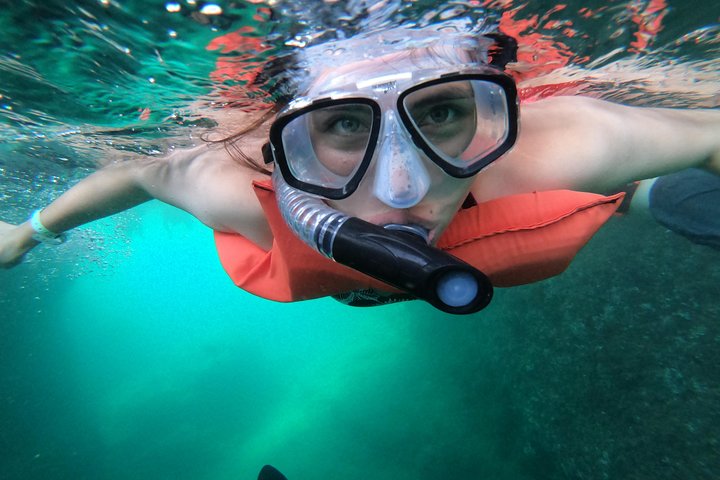 Full-Day Experience in Banderas Bay