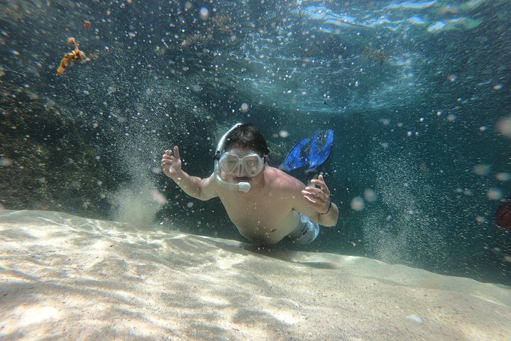 Full-Day Experience in Banderas Bay