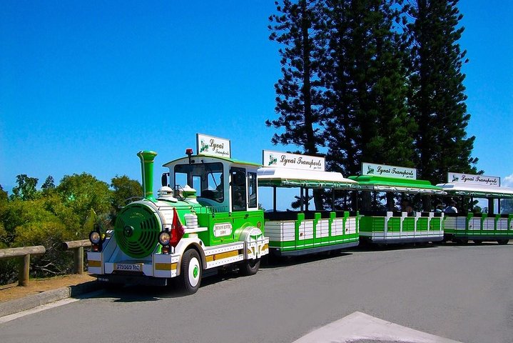FAMOUS Local Green Train Noumea (01h30) with LYVAI