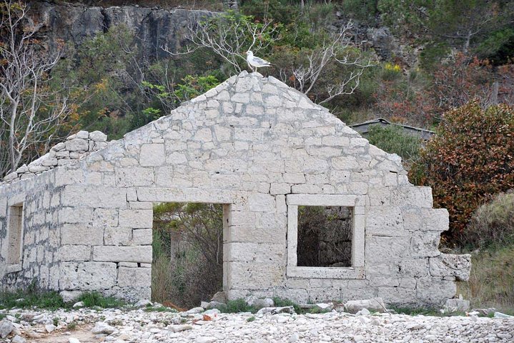 Bits of History - Half day kayak Tour with Wine delight