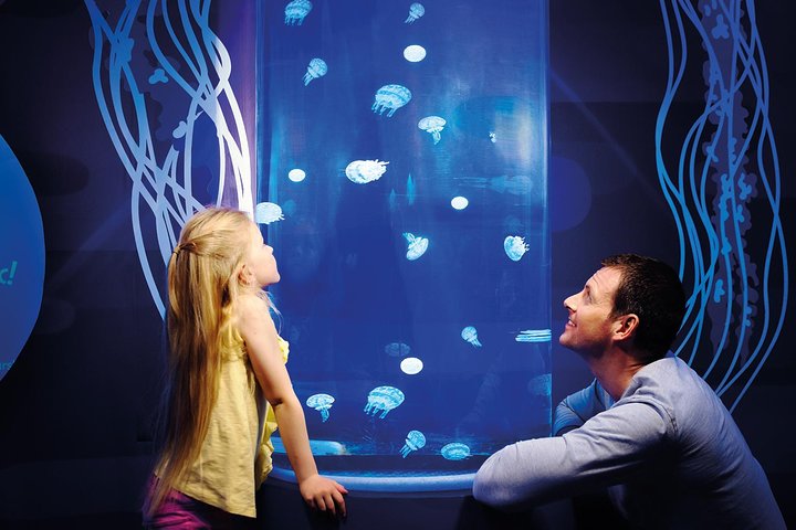 SEA LIFE Great Yarmouth General Admission